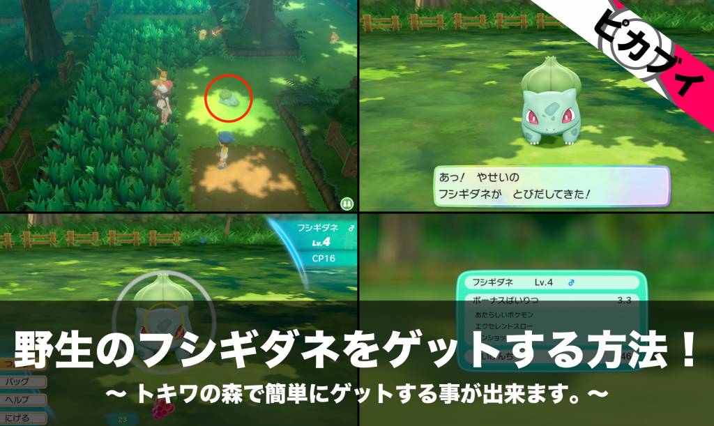 ピカブイ ポケモンのアメの効果と使い方について アメの種類についても記載しています Nomanoma 面白そうの攻略サイト